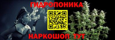 шишки Нарткала